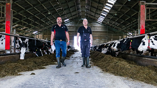 Kaasboerderij Ravenswaard