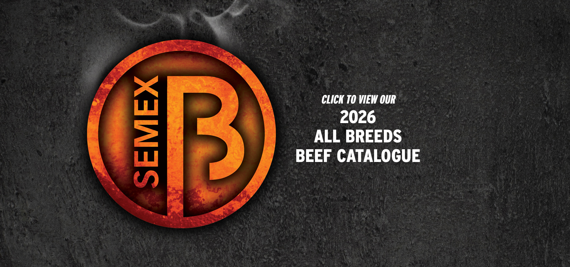BEEFcatalogue26banner.jpg