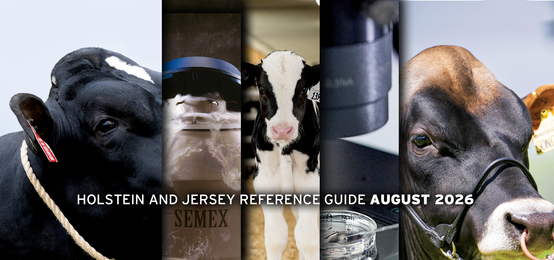 aug26cataloguebanner.jpg