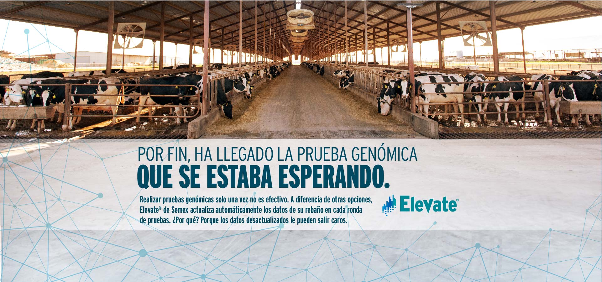 Semex