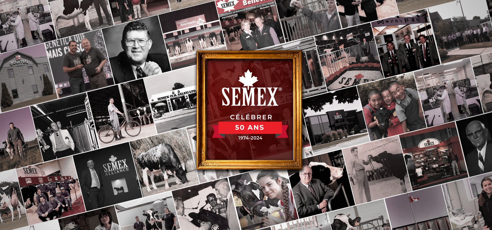50thwebbannerCOLLAGEfr.jpg