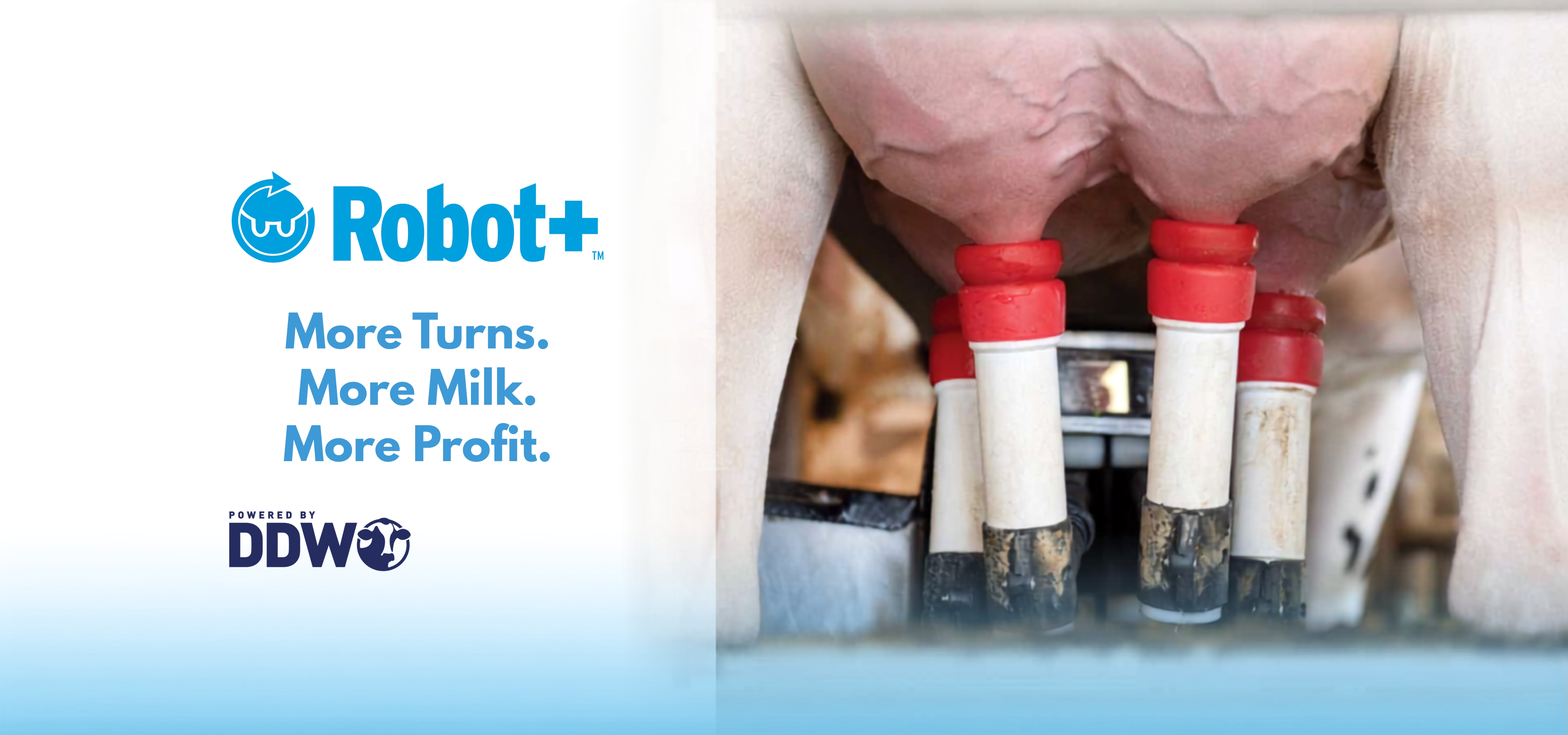 sliderRobot+.jpg