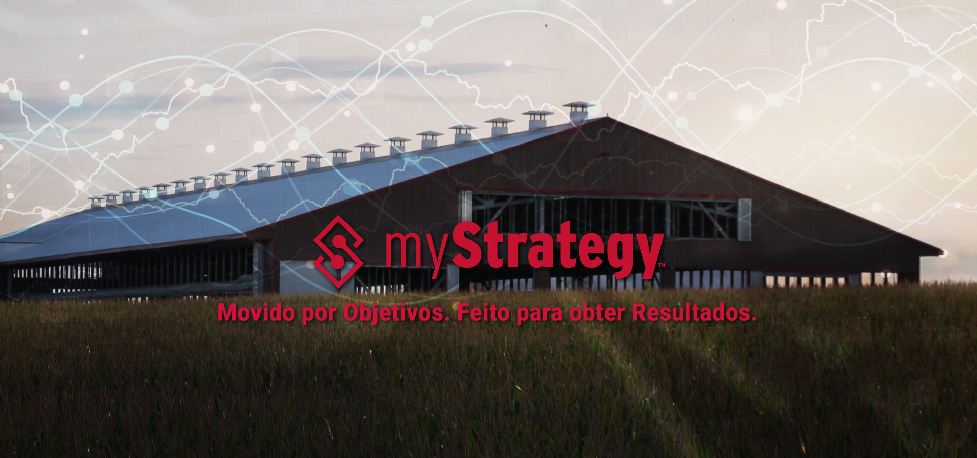 myStrategy_webbannerPORT.jpg
